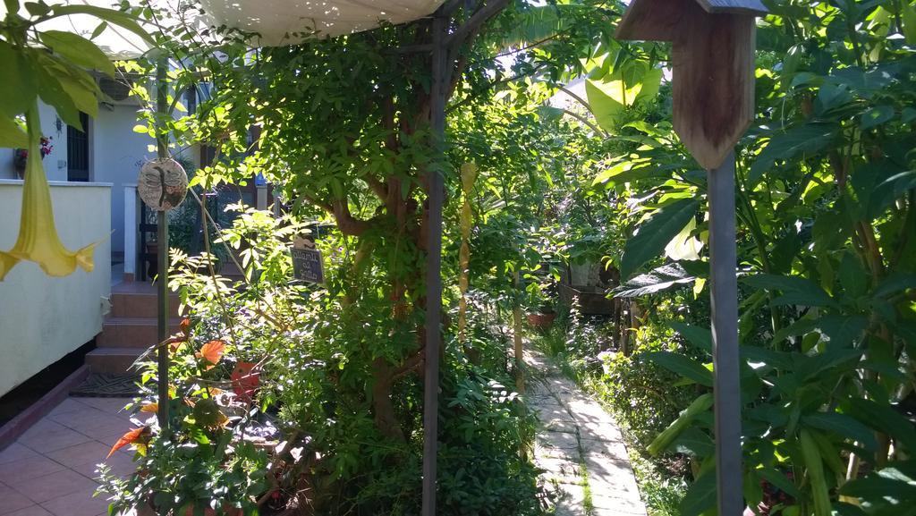 B&B Mare E Sole Brindisi Exterior foto